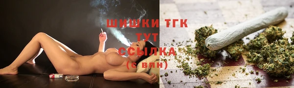 крисы Армянск