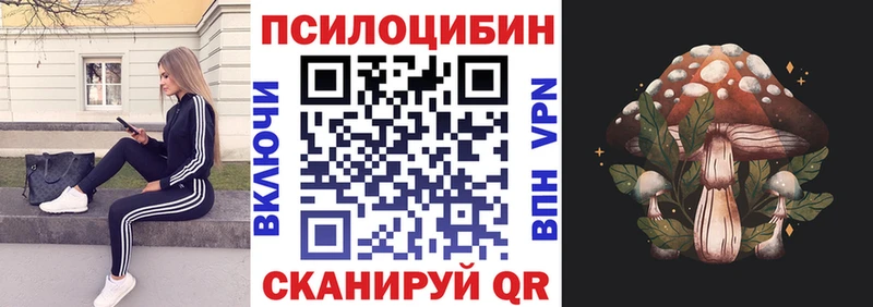 Галлюциногенные грибы Magic Shrooms  Балтийск 