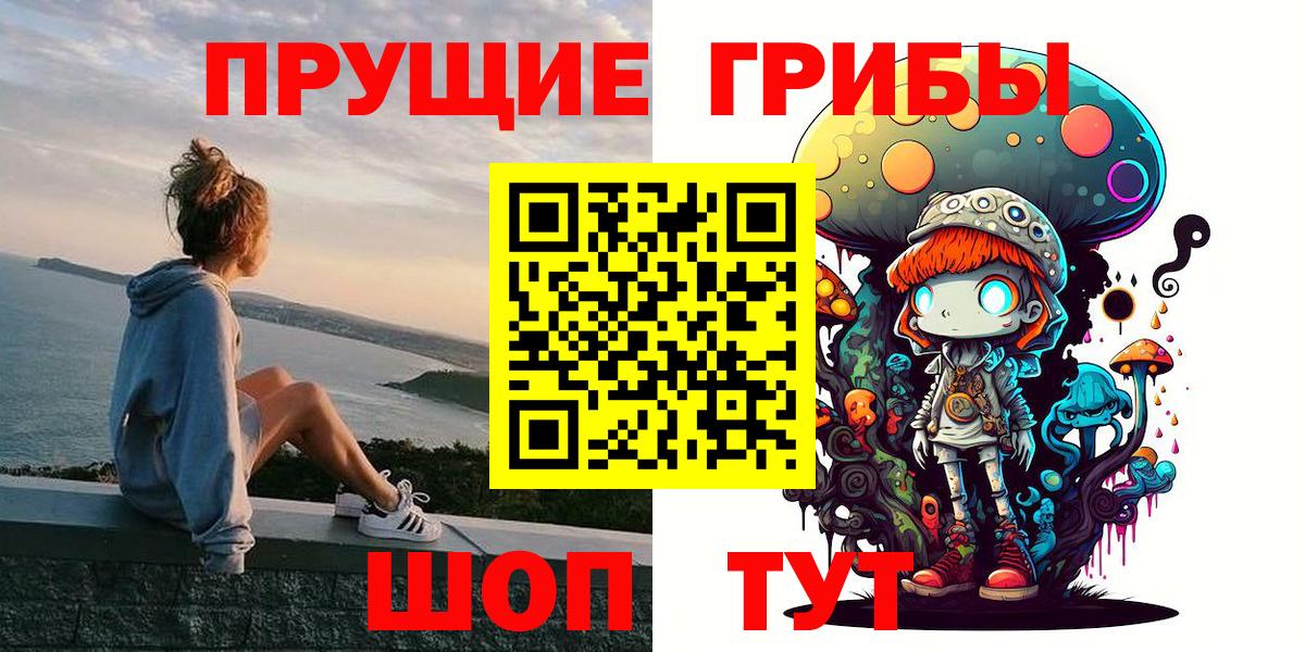 Балтийск  Псилоцибиновые грибы Psilocybine cubensis  Вход с VPN 