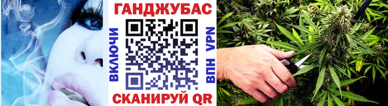 Каннабис сатива  сколько стоит  Балтийск 